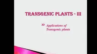 Applications of transgenic plant technology