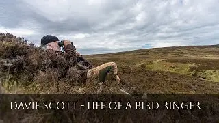 Davie Scott - Life of a Bird Ringer
