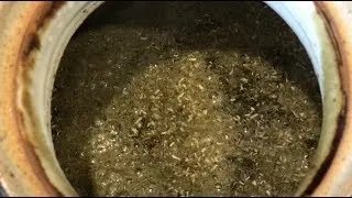 Chanca Piedra Tea