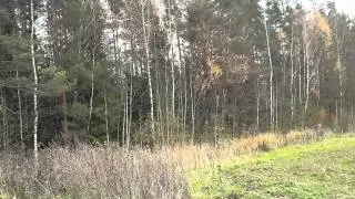 Осень 2013