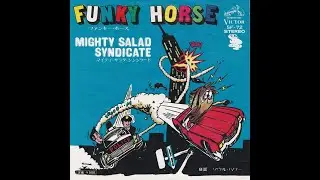 Funky Horse - Mighty Salad Syndicate (1974)