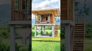 house on stilts for a small family#shorts #short #house