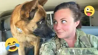 Смешная подборка видео с собаками &ndash; Лучшие видео с собаками 2025 года 🐕🤣 #9