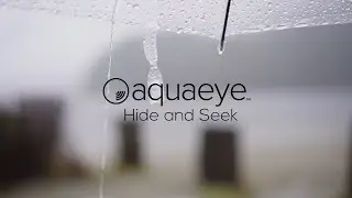 AquaEye® | Hide and Seek