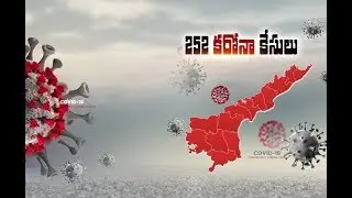 With 60 Fresh COVID-19 Cases | Total Positive Cases Rise to 252 in State | Highest in Kurnool Dist