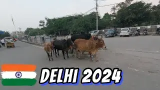 Last Day in Apocalyptic Delhi India - Time to Go