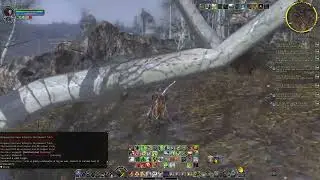 Stream: The Lord of the Rings Online Ashunug + Lags =)