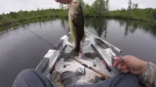 Kayak Fishing for Bass Using Senkos on an Overcast Morning (My Plan B)