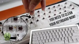 Make it last | Cleaning RK61 RGB Mechanical Keyboard (ASMR)