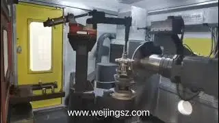 Weijing GV230 grinding machine is fettling differential parts