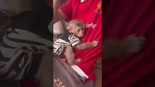 The monkey just wants to hug its dad.❤️