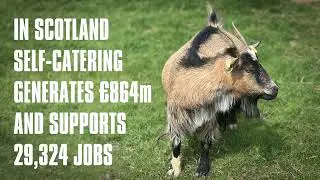 Stop Scapegoating Scotland's Self-Catering Sector