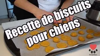 Éducation canine: Recette de biscuits pour chiens, Du bonheur plein les pattes!