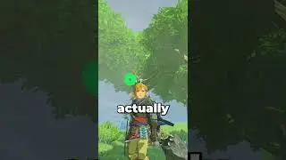 Чтобы найти этот секрет Zelda, потребовалось СЕМЬ ЛЕТ... #totk #shorts #botw