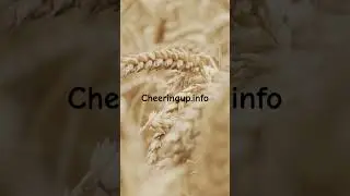 Make your life easier and better with @CheeringupTV Channel