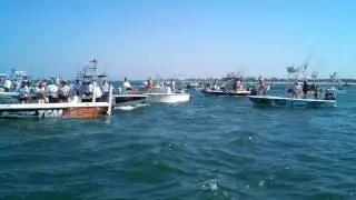 Boca Grande Pass Tarpon Fishing