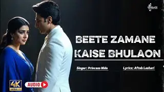 Beete Zamane Kaise Bhulaon | Princess Nida | Classic Emotional Sad Song | Black Music Studio