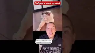 Забрала кота домой
