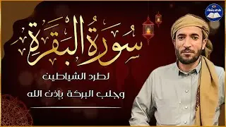 سورة البقرة كاملة محمد الفقيه لطرد الشياطين من منزلك وجلب البركه Sourah Baqara