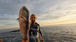Gran pelea denton xxl🔴una jornada mas dandolo todo en el pesquero🔴pesca extrema 