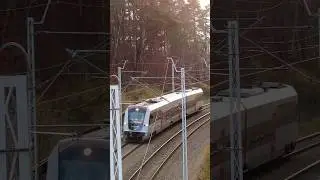 SA138 - Pomorskie Polregio - Gdańsk Strzyża