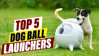 Top 5 Dog Ball Throwers for Endless Fun