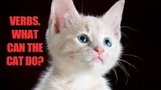 4 Types of Verbs to learn to speak Native English