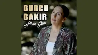Yaban Gülü