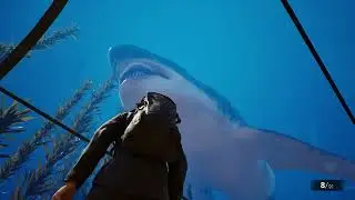 Clawed  - Official Teaser Trailer