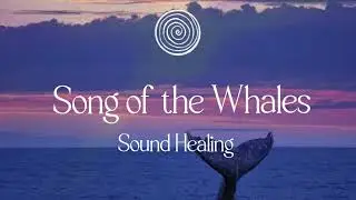 Linea I Song of the Whales I Sound Healing I Live Loop recording