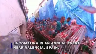 In one Spanish town, a tomato food fight is an annual event