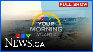 How cold weather impacts the work at Hope for Wildlife | CTV Your Morning Atlantic for Dec. 9, 2025