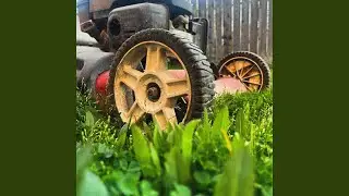 Landscaping (feat. Woesun)