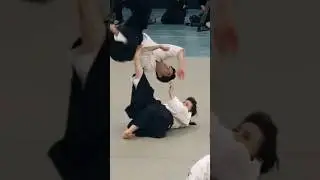Daito-ryu Aiki-jujutsu #budo #kobudo