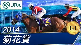 2014年 菊花賞（GⅠ） | トーホウジャッカル | JRA公式