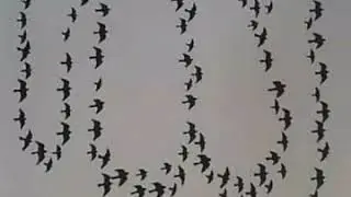 Allah ki quadrat
