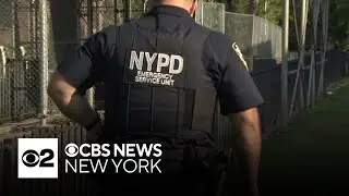Man fatally shot in Throggs Neck, the Bronx
