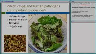 ILSI Europe - Webinar on 