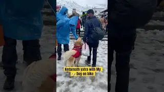 Kedarnath yatra wih Coco bike से😱! kedarnath temple !bike ride with dog @himalayanamit