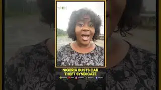 Police Bust Car Theft Syndicate In Rivers, Recover 22 Stolen Vehicles | WION Shorts