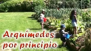 Arquímedes por principio