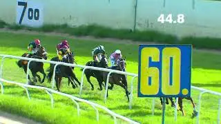 SOVEREIGN KING : THE BENAKA DEVELOPERS KARNATAKA JUVENILE MILLION (GR III)