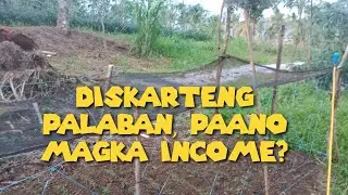 DISKARTE NA WALANG TIGIL ANG PAGPASOK NG PERA SA FARMING : REALTALK