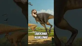 NOVO TIRANOSSAURIDEO M&Eacute;XICANO! O LABOCANIA AGUILLOANAE #animaisprehistoricos #paleontologia
