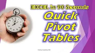 Excel in 90 Seconds - Quick Pivot Tables