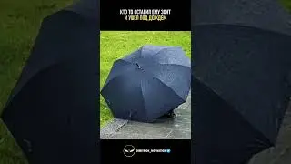 Кто то оставил ему зонт и ушёл #добро