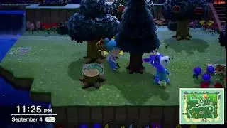 Saving Cleo From Wasps Animal Crossing