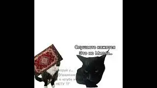 @Mikella_cat52  #рек #нетхейту #актив #мем #котик #кот #cat #рекомендации #активвернись #актив 