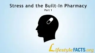 Stress and the Built-In Pharmacy (Part 1)