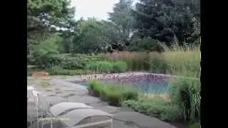 The New American Garden Exhibition: Learning about Color